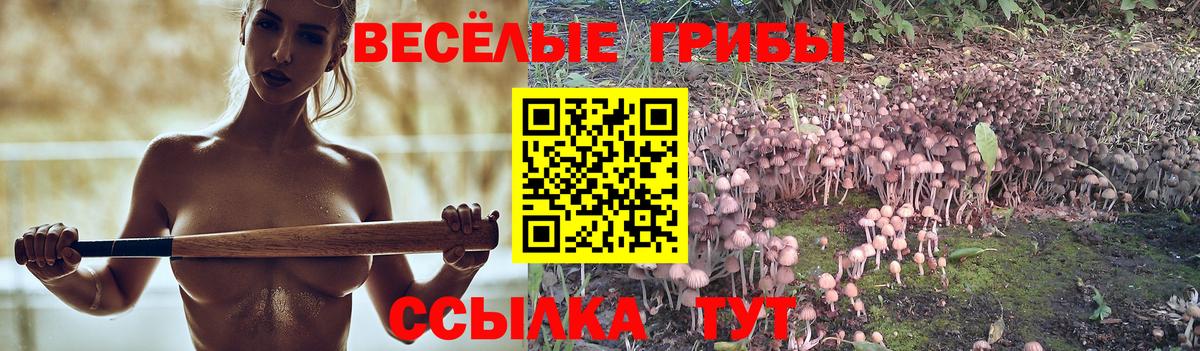 Ростов Великий  Галлюциногенные грибы Cubensis  Вход с VPN  Галлюциногенные грибы Cubensis 
